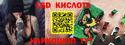 прущие грибы Майкоп